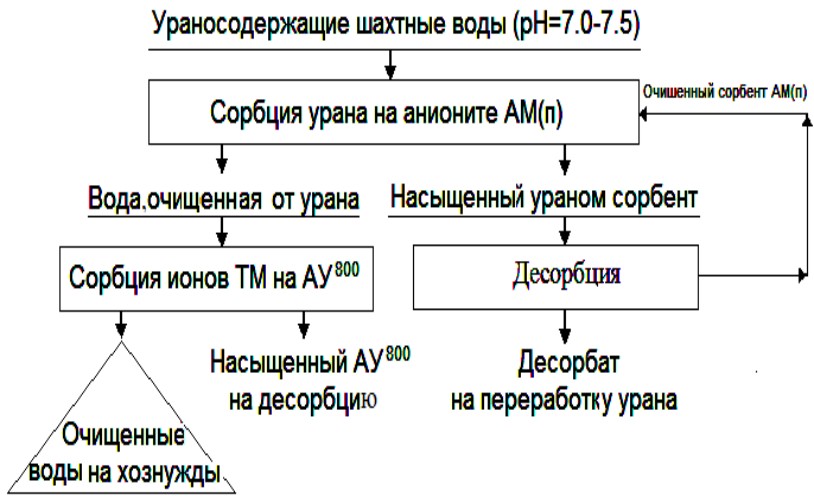 КОМПЛЕКС СОРБЦИОННОЙ ОЧИСТКИ ЗАГРЯЗНЕННЫХ  УРАНСОДЕРЖАЩИХ ВОД