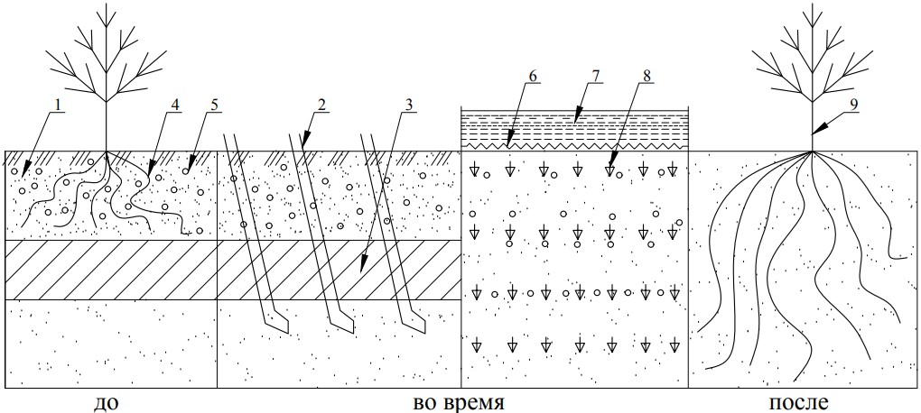 СПОСОБ ПРОМЫВКИ ЗАСОЛЁННЫХ ТЯЖЁЛЫХ ПОЧВ
